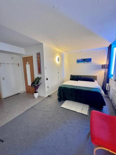 Nice guest apartment within walking distance to central station